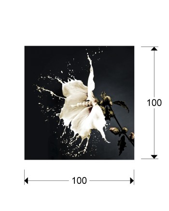 FOTO ·SPLASH· 100x100